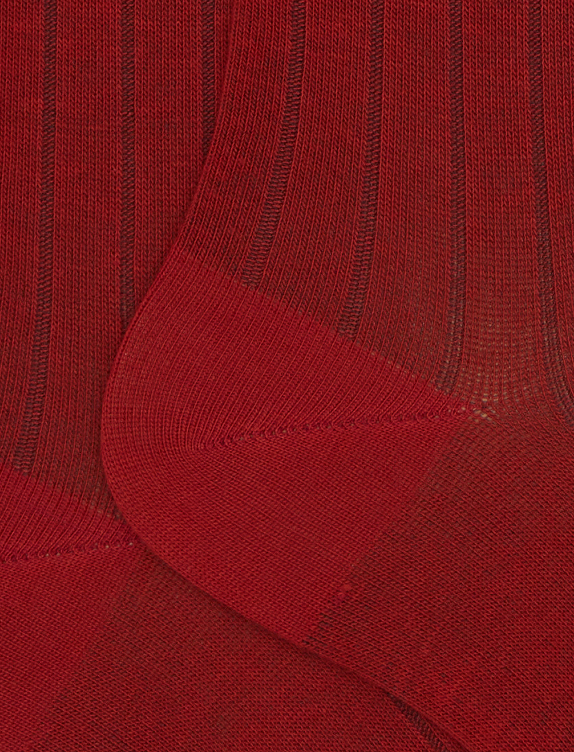 Calze lunghe donna cotone arancio tinta unita a coste