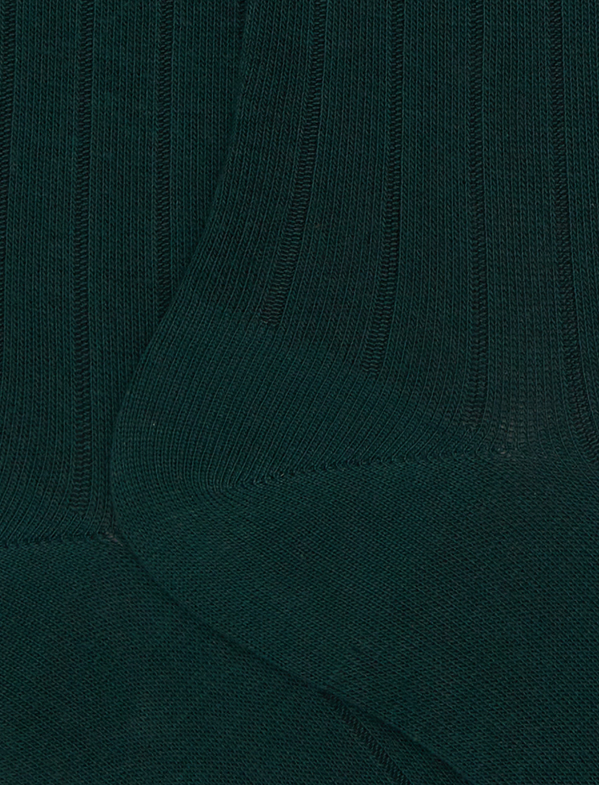 Calze lunghe donna cotone verde tinta unita a coste