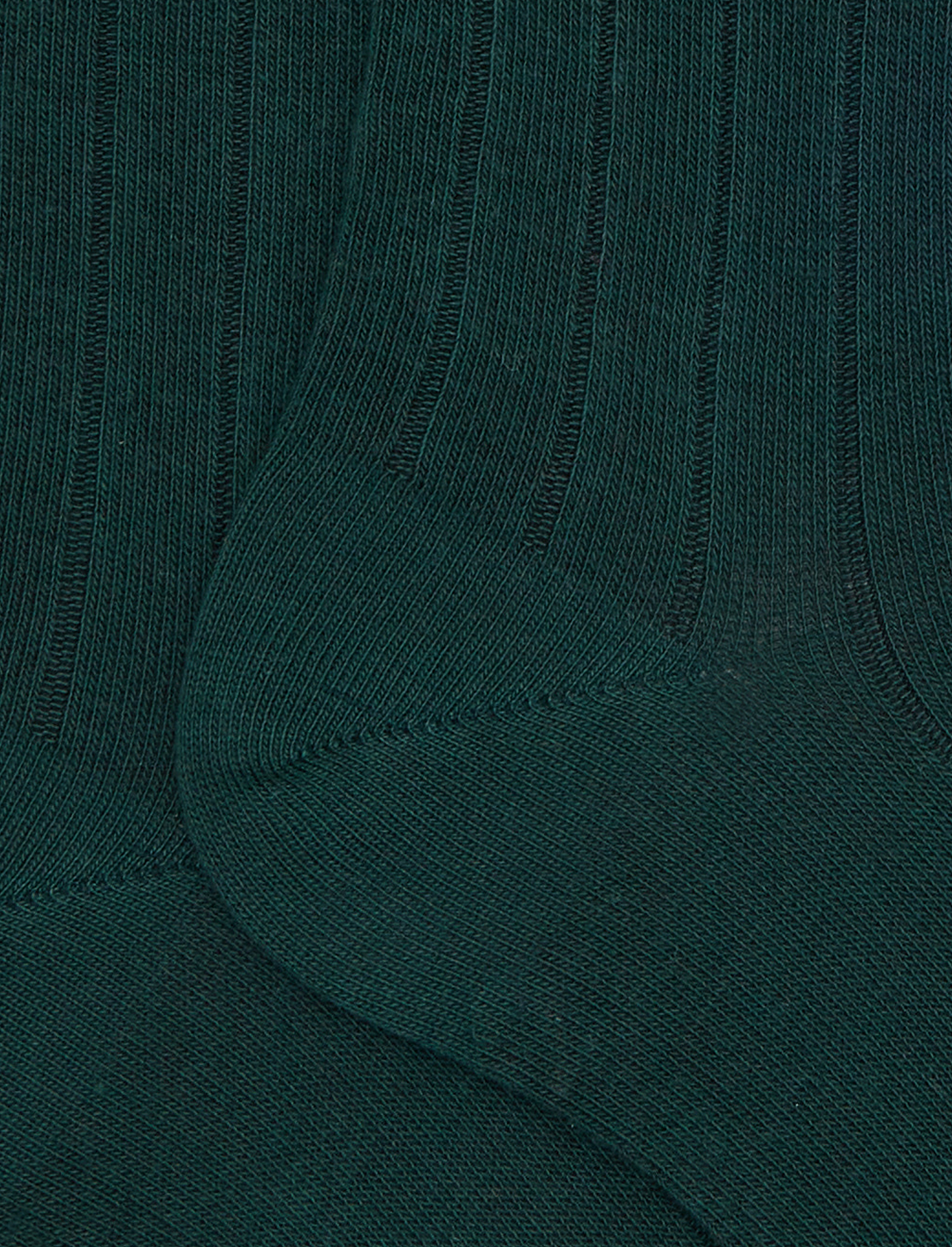 Calze corte donna cotone verde tinta unita a coste