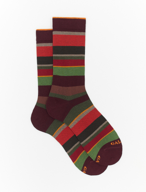 Men's short burgundy cotton socks with multicoloured stripes - Multicolor | Gallo 1927 - Official Online Shop