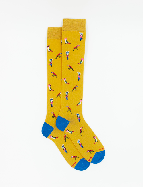 Men's long golden ultra-light cotton socks with cockatoo/toucan motif - Socks | Gallo 1927 - Official Online Shop