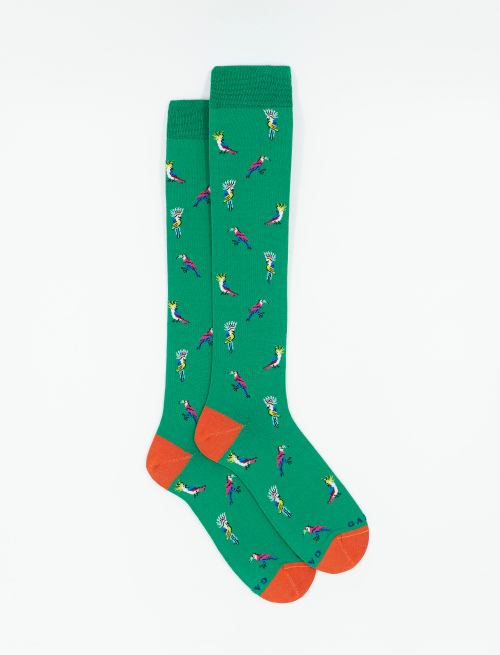 Men's long shamrock ultra-light cotton socks with cockatoo/toucan motif - New in | Gallo 1927 - Official Online Shop