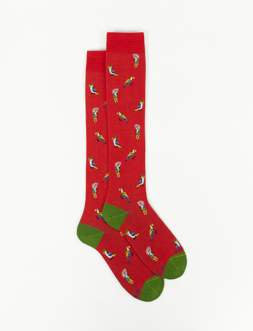 Women's long brick red ultra-light cotton socks with cockatoo/toucan motif - Long | Gallo 1927 - Official Online Shop