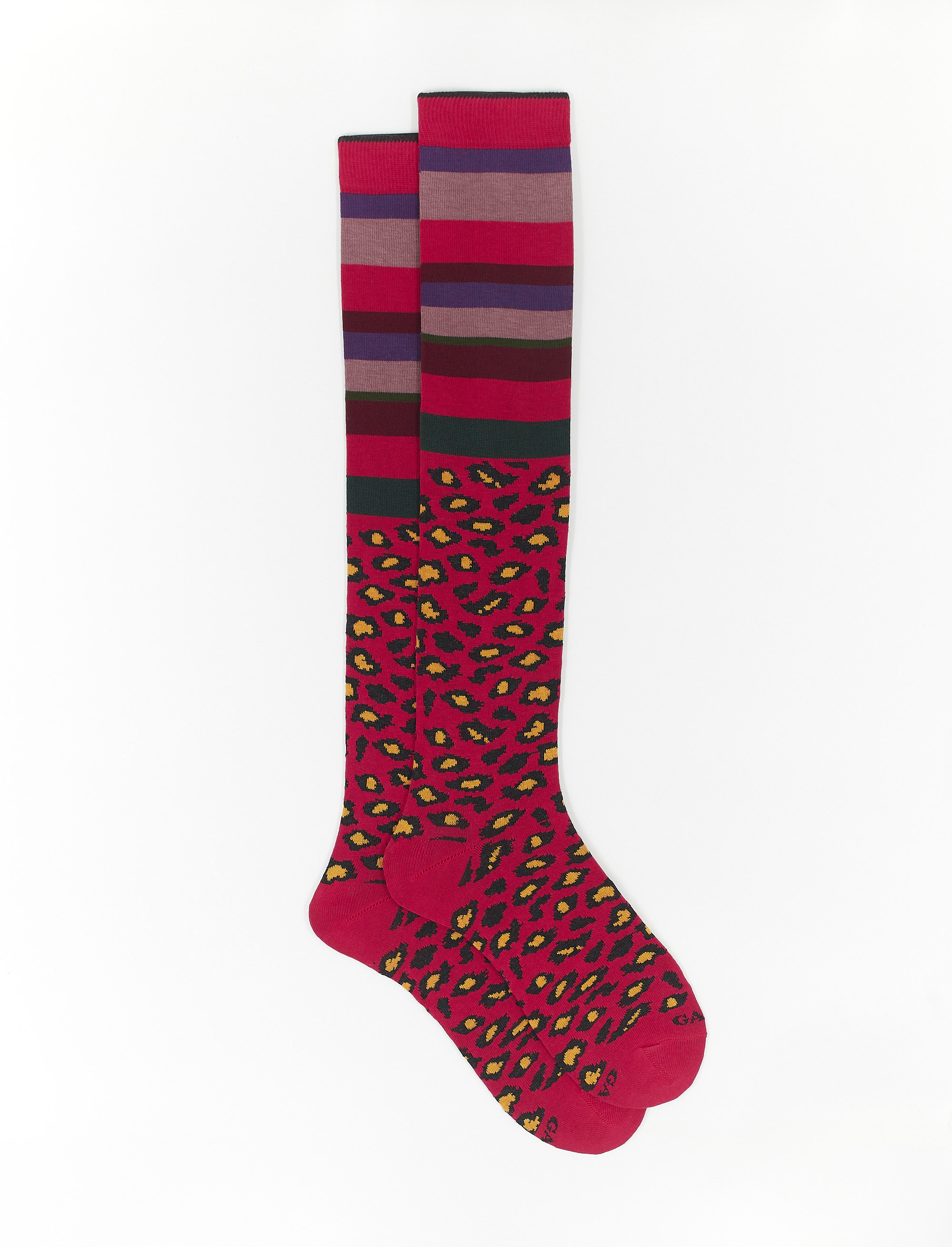 Women's long ruby cotton socks with multicoloured stripes and dotted band - The FW Edition | Gallo 1927 - Official Online Shop