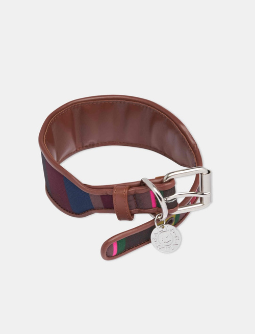 Burgundy polyester dog collar with multicoloured stripes | Gallo 1927 - Official Online Shop