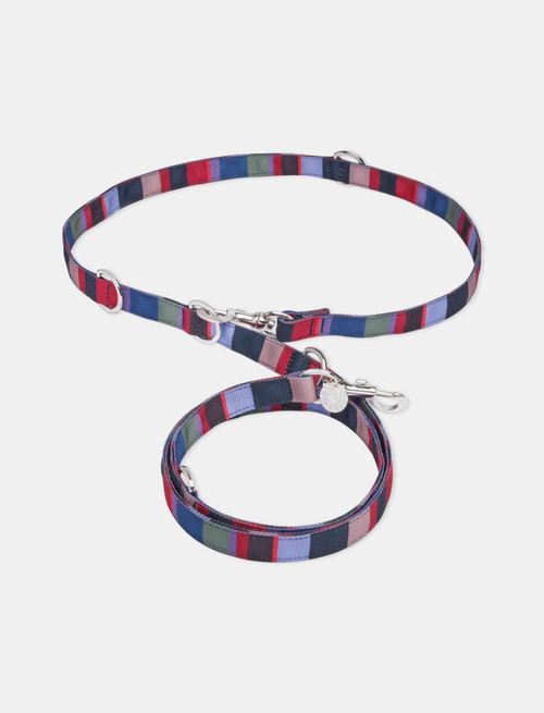 Long blue/iris polyester dog leash with multicoloured stripes - Matchy Lifestyle | Gallo 1927 - Official Online Shop
