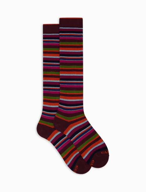 Women's long fuchsia cotton and cashmere socks with multicoloured micro stripes - Socks | Gallo 1927 - Official Online Shop