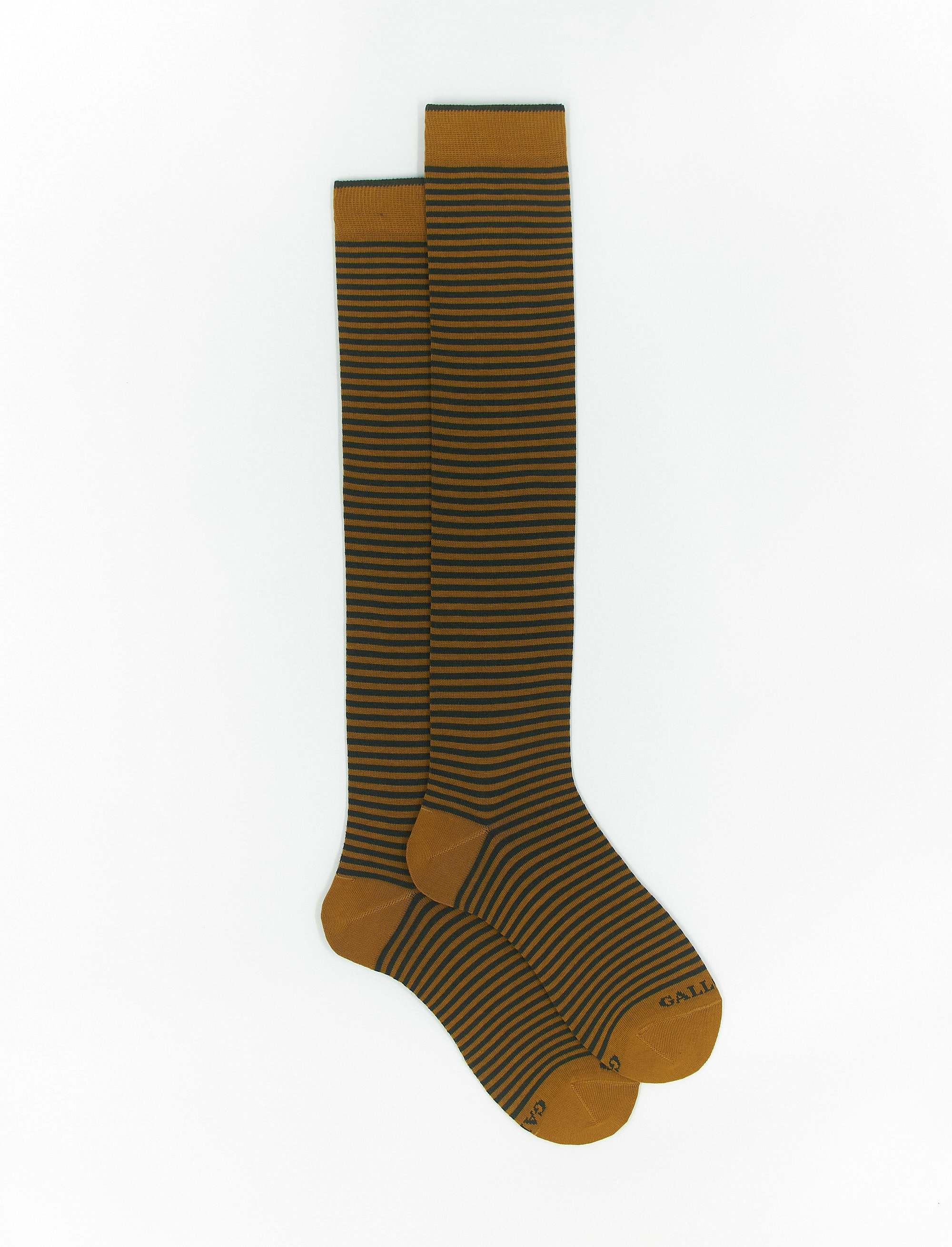 Women's long curry cotton socks with Windsor stripes - Windsor | Gallo 1927 - Official Online Shop