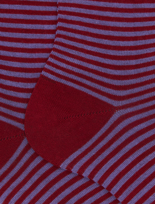 Women's short burgundy cotton socks with Windsor stripes - Short | Gallo 1927 - Official Online Shop