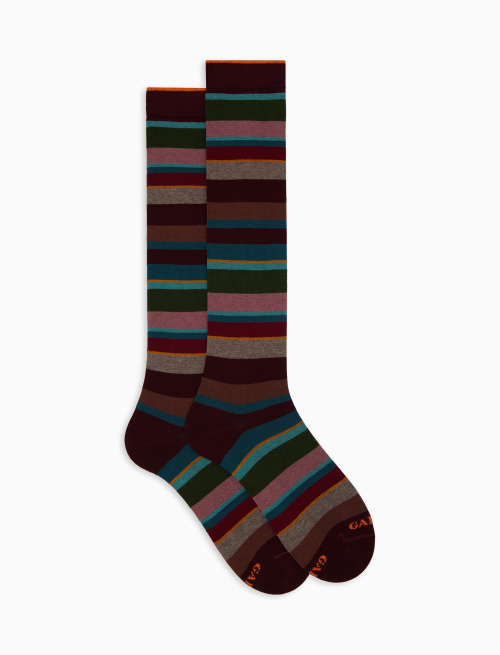 Women's long burgundy cotton socks with multicoloured stripes - Socks | Gallo 1927 - Official Online Shop