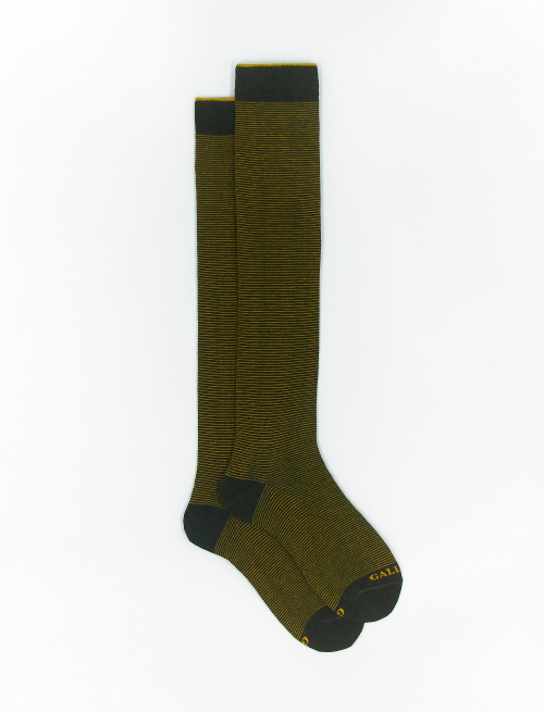 Men's long forest green cotton socks with two-tone stripes - Special Selection | Gallo 1927 - Official Online Shop