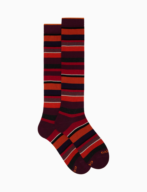 Men's long burgundy cotton socks with multicoloured stripes - Multicolor | Gallo 1927 - Official Online Shop