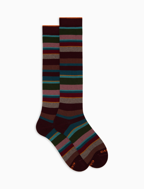 Men's long burgundy cotton socks with multicoloured stripes - Socks | Gallo 1927 - Official Online Shop