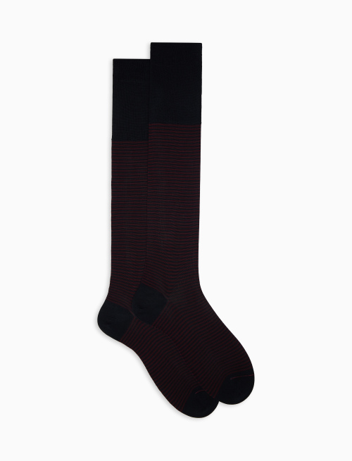 Men's long blue/burgundy cotton socks with Windsor stripes - Windsor | Gallo 1927 - Official Online Shop