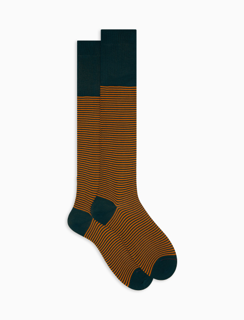 Men's long green cotton socks with Windsor stripes - Long | Gallo 1927 - Official Online Shop