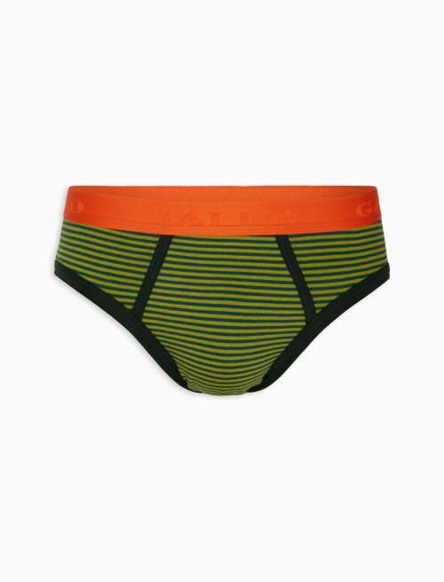 Men's cactucactus cotton briefs with Windsor stripes - Underwear and Beachwear | Gallo 1927 - Official Online Shop