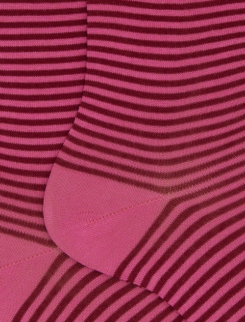 Women's short pink cotton socks with Windsor stripes - Socks | Gallo 1927 - Official Online Shop