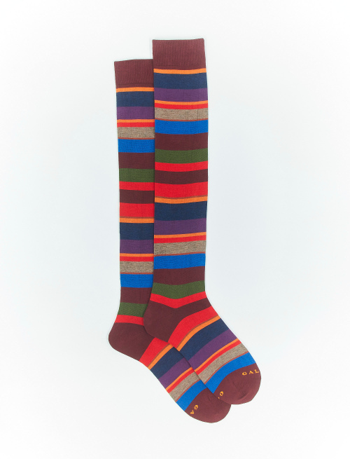 Men's long berry cotton socks with multicoloured stripes - The timeless Edition | Gallo 1927 - Official Online Shop