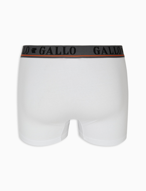 Men's white cotton boxer shorts - Underwear | Gallo 1927 - Official Online Shop