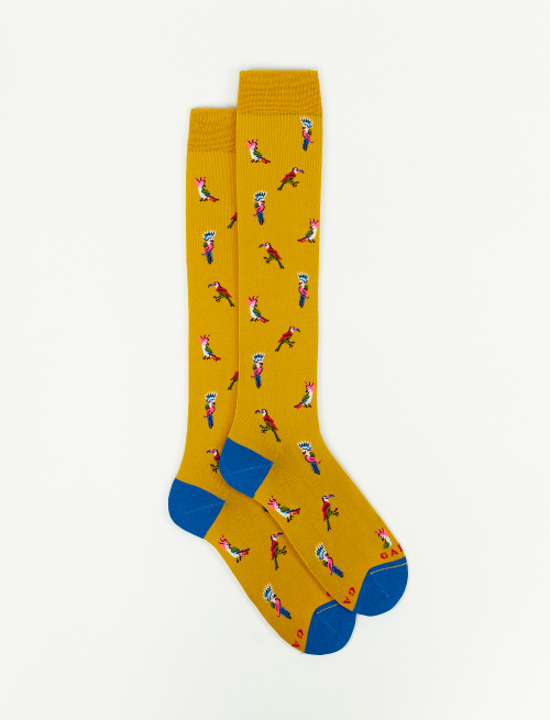 Calze lunghe donna cotone leggerissimo oro fantasia cacatua e tucani - Donna | Gallo 1927 - Official Online Shop