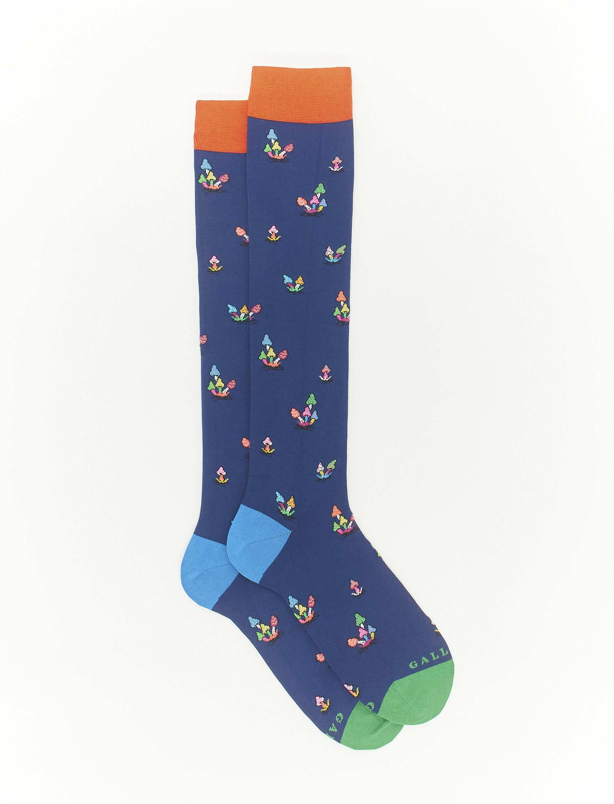 Women's long English blue light cotton socks with mushroom motif - The FW Edition | Gallo 1927 - Official Online Shop