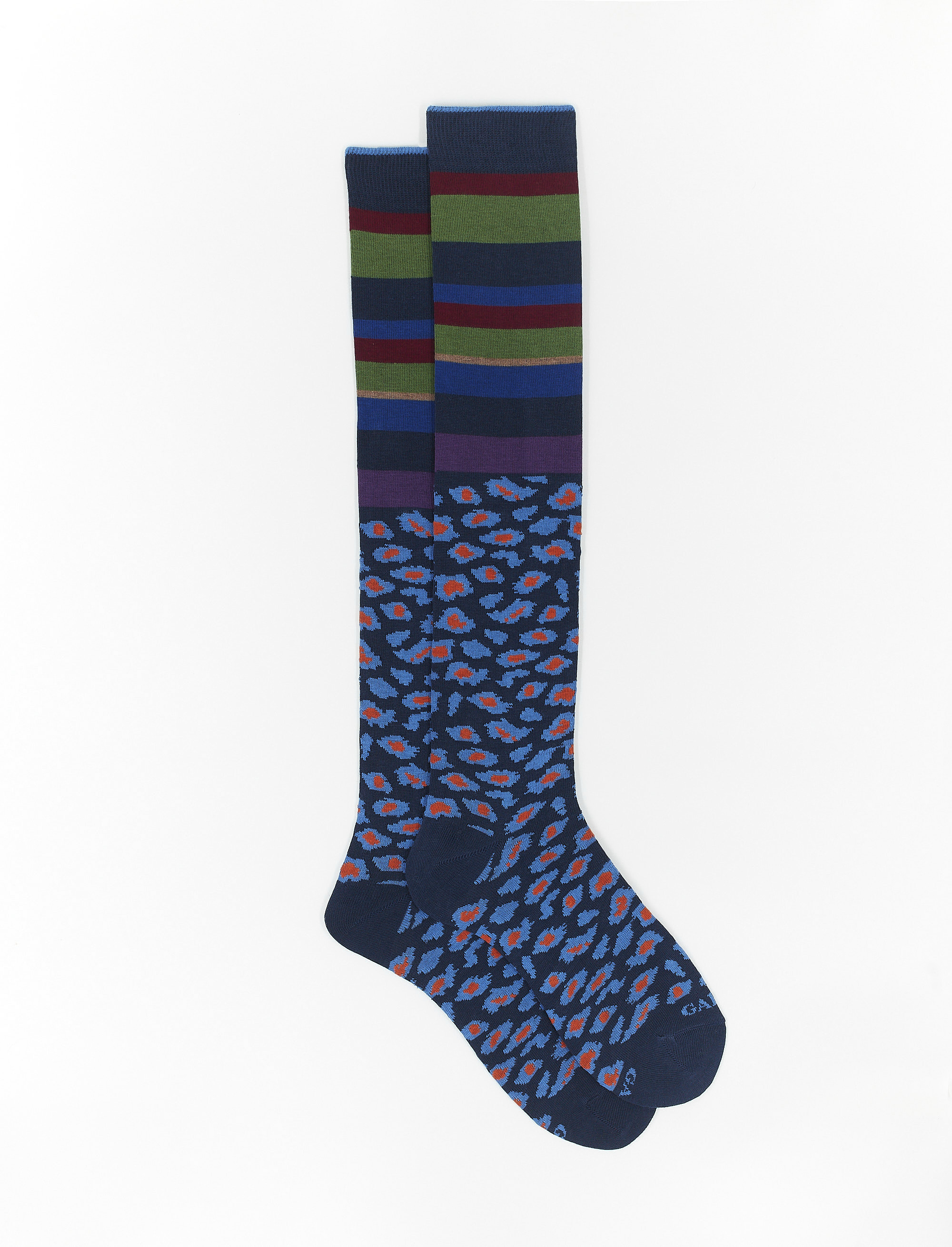 Women's long royal blue cotton socks with multicoloured stripes and dotted band - The FW Edition | Gallo 1927 - Official Online Shop