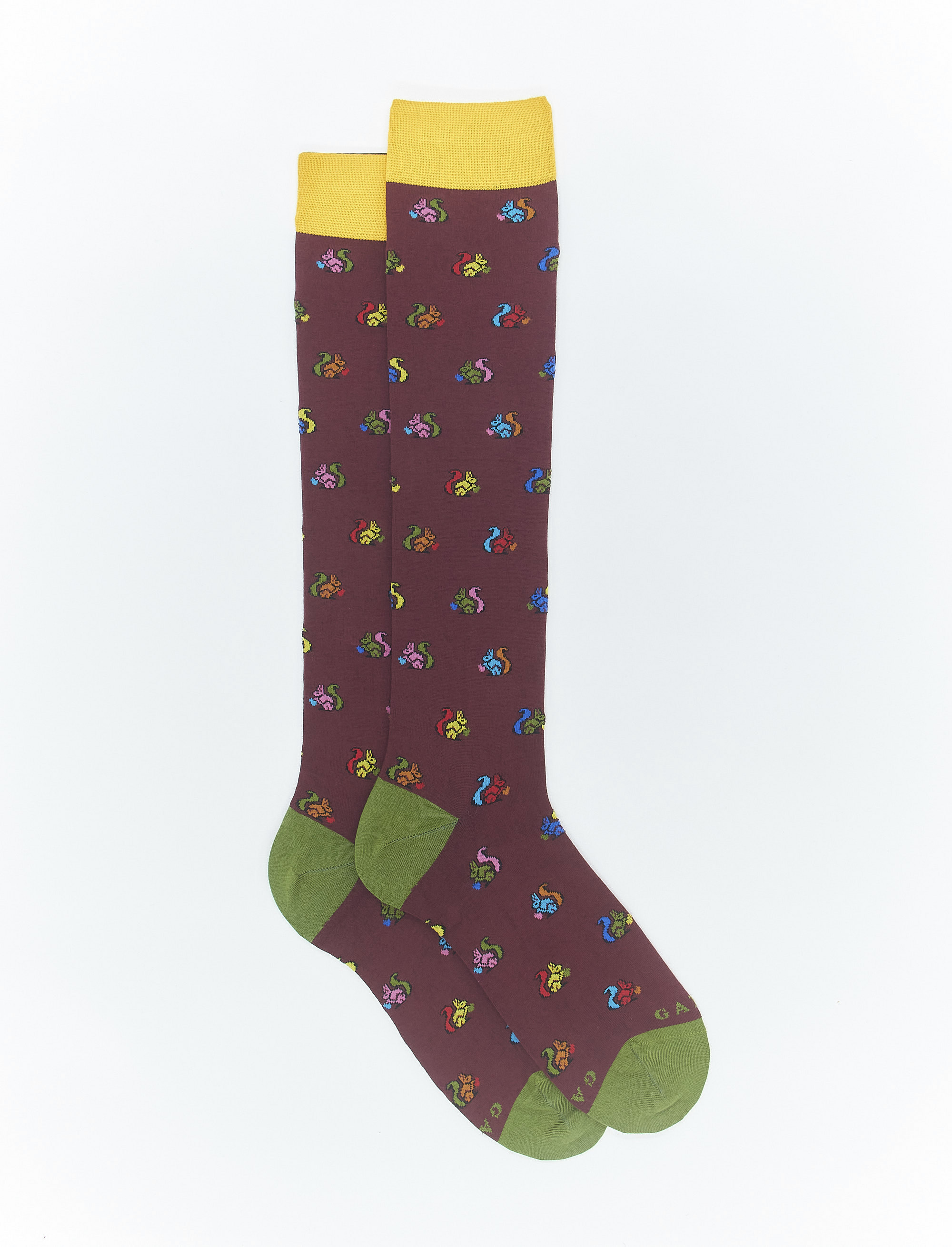 Women's long berry light cotton socks with squirrel motif - The FW Edition | Gallo 1927 - Official Online Shop