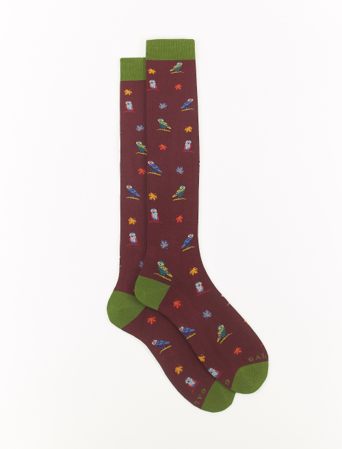 Men's long berry light cotton socks with owl motif - The FW Edition | Gallo 1927 - Official Online Shop