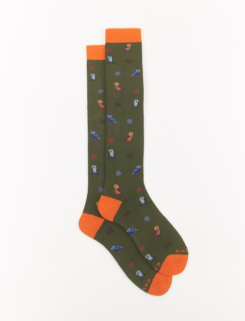 Men's long oak green light cotton socks with owl motif - Man | Gallo 1927 - Official Online Shop