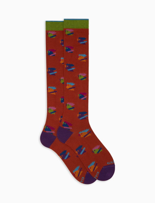 Women’s long orange cotton socks with multicoloured hen motif - Socks | Gallo 1927 - Official Online Shop