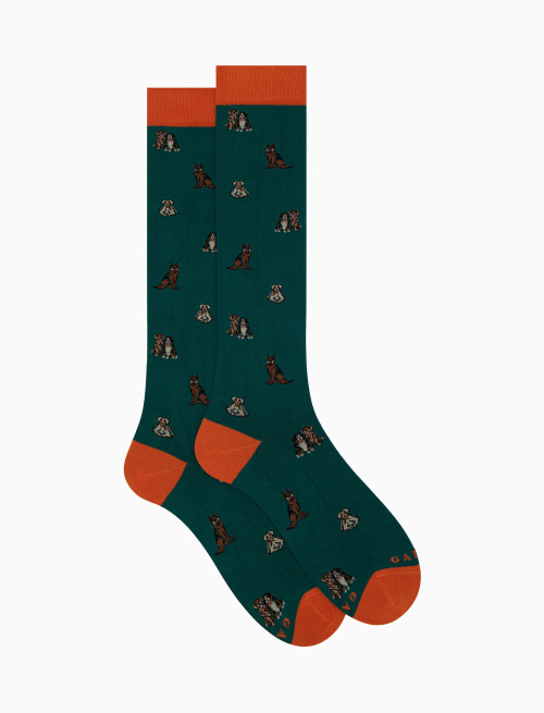 Men's long green cotton socks with dog motif - The FW Edition | Gallo 1927 - Official Online Shop