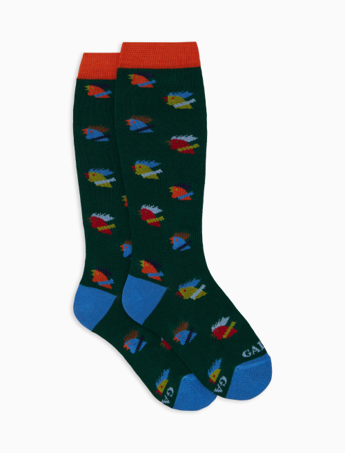 Kids' long green cotton socks with multicoloured hen motif - Long | Gallo 1927 - Official Online Shop