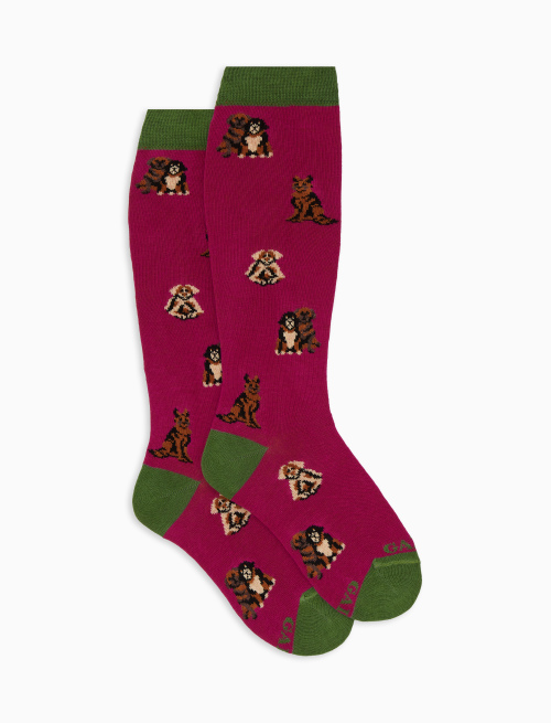 Kids' long fuchsia cotton socks with dog motif - Black Friday Kids | Gallo 1927 - Official Online Shop
