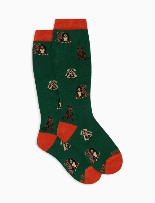 Kids' long green cotton socks with dog motif - Black Friday Kids | Gallo 1927 - Official Online Shop