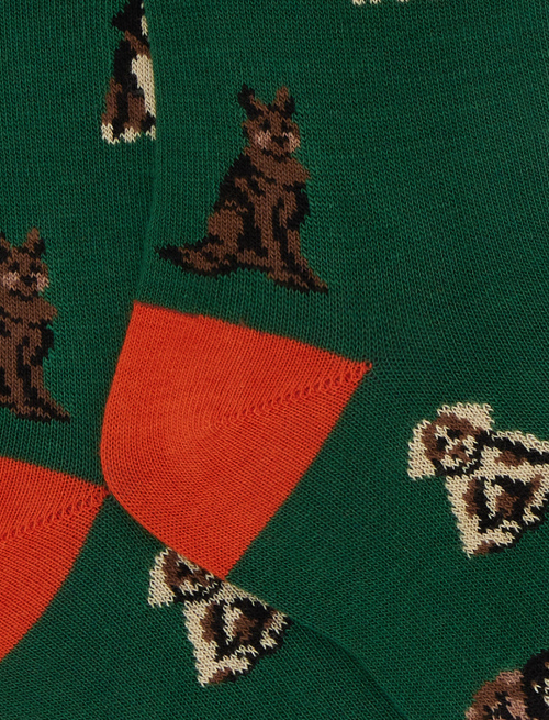 Kids' long green cotton socks with dog motif - Black Friday Kids | Gallo 1927 - Official Online Shop