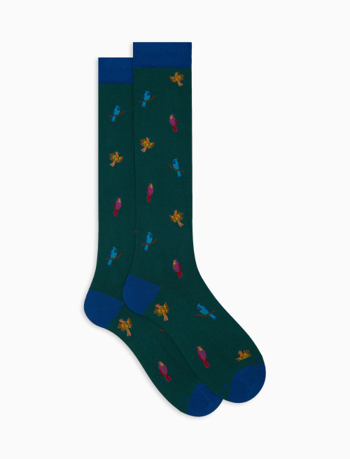 Men's long green cotton socks with woodpecker motif - Gift ideas | Gallo 1927 - Official Online Shop