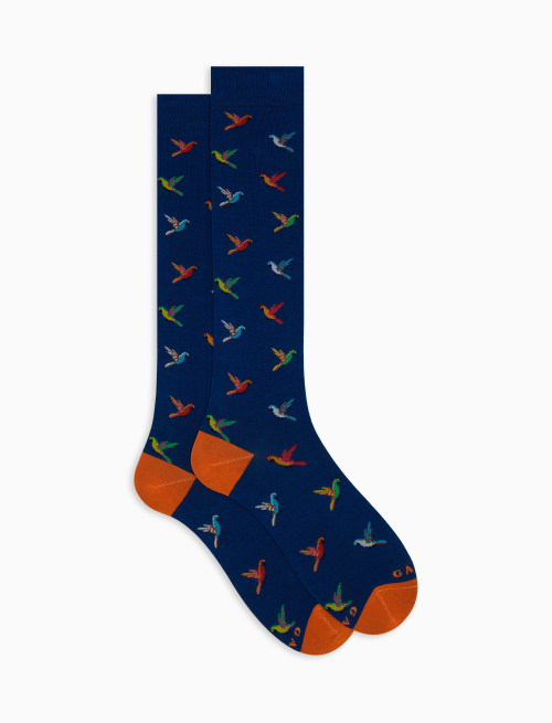 Men's long cotton socks with blue parrot pattern - The SS Edition | Gallo 1927 - Official Online Shop