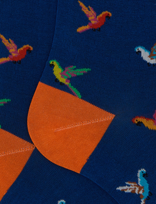 Men's long cotton socks with blue parrot pattern - The SS Edition | Gallo 1927 - Official Online Shop