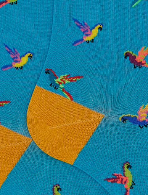 Men's long cotton socks with light blue parrot pattern - The SS Edition | Gallo 1927 - Official Online Shop