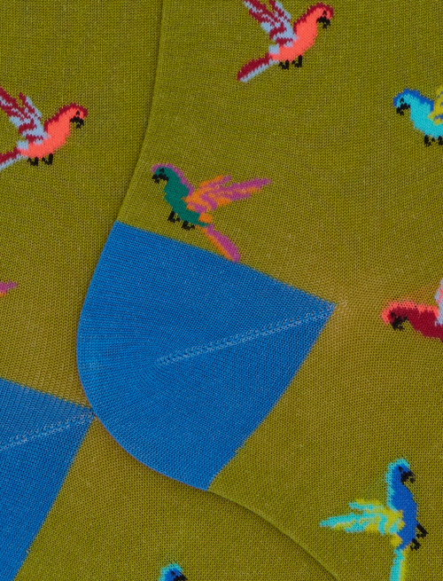 Calze lunghe donna cotone fantasia pappagalli verde - Lunghe | Gallo 1927 - Official Online Shop