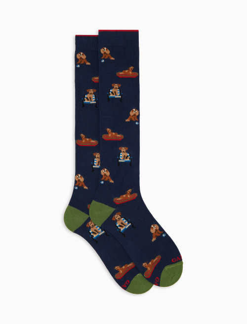 Men's long socks in blue cotton with dog pattern - New In | Gallo 1927 - Official Online Shop