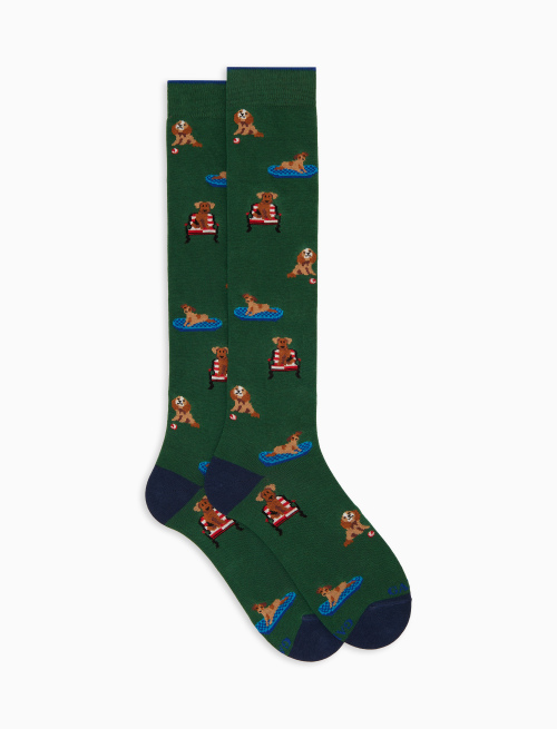 Men's long socks in green cotton with dog pattern - New In | Gallo 1927 - Official Online Shop
