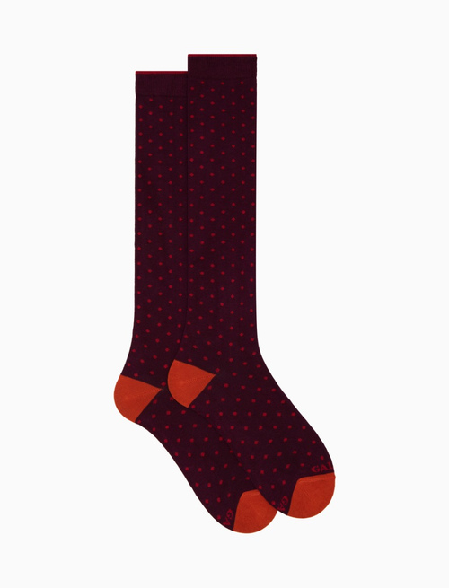 Women's long burgundy cotton socks with polka dots - Woman | Gallo 1927 - Official Online Shop