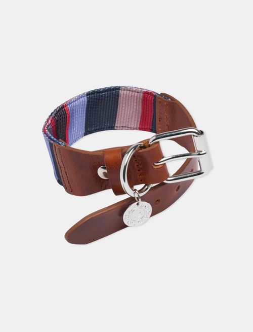 Blue/iris 5 cm polyester dog collar with multicoloured stripes - Love Dogs | Gallo 1927 - Official Online Shop