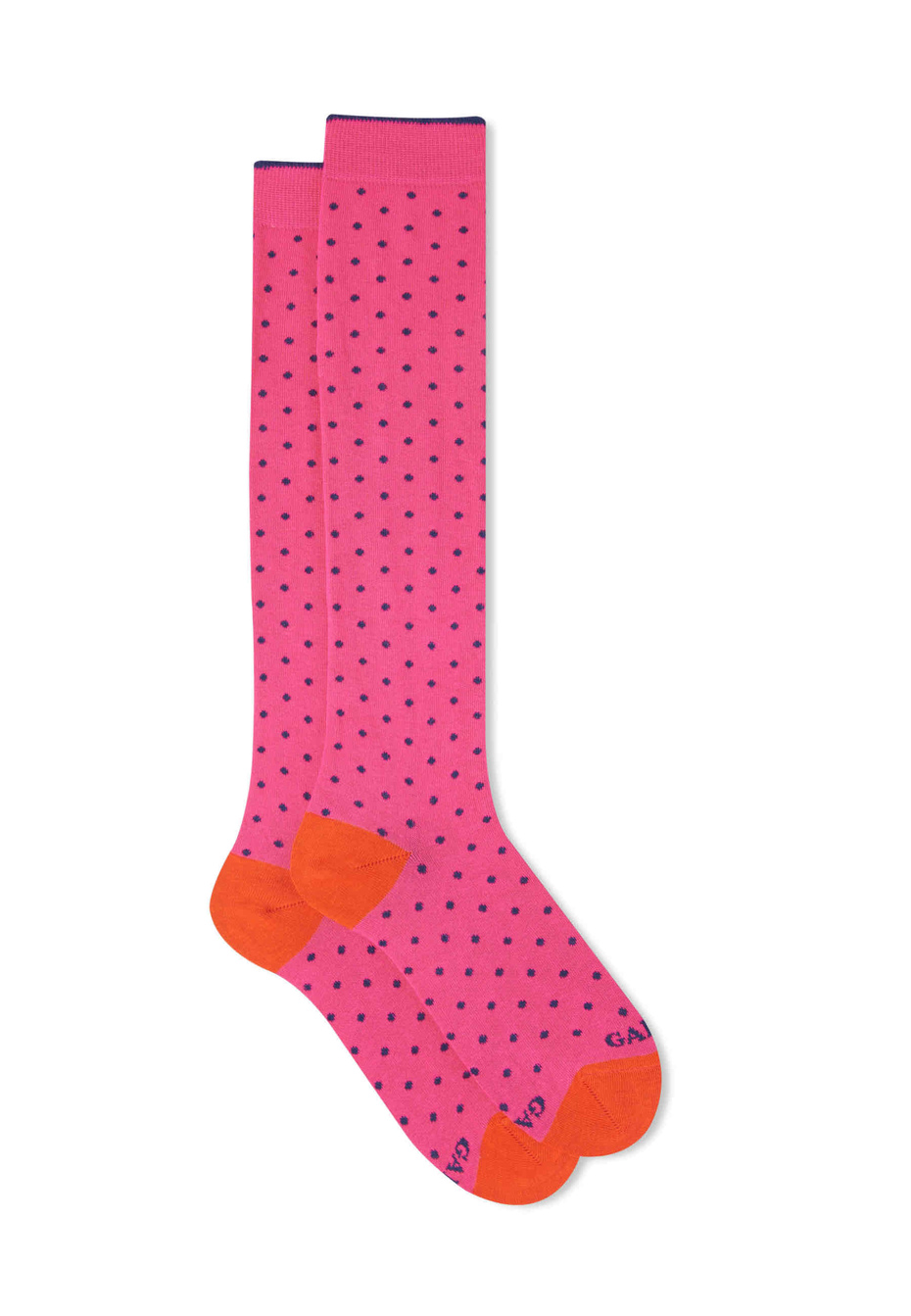 Women's long hyacinth cotton socks with polka dots - Gallo 1927 - Official Online Shop