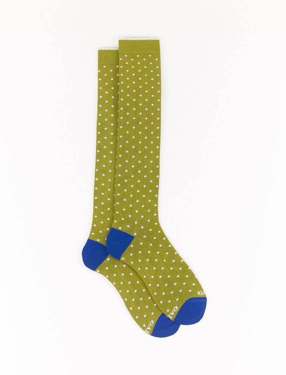 Men's long grass green light cotton socks with polka dots - Gallo 1927 - Official Online Shop