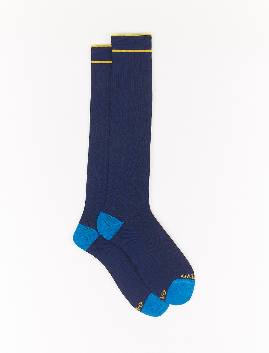 Men's long, plain royal blue socks in light cotton - Gallo 1927 - Official Online Shop
