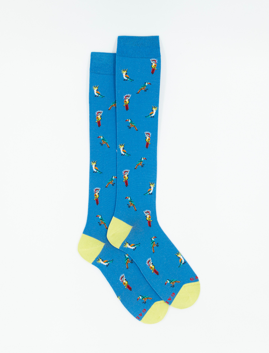 Men's long Aegean blue ultra-light cotton socks with cockatoo/toucan motif - Gallo 1927 - Official Online Shop
