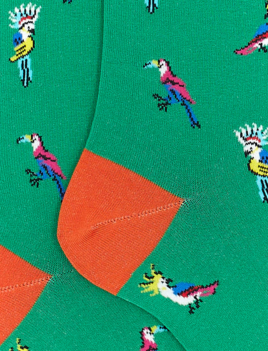Men's long shamrock ultra-light cotton socks with cockatoo/toucan motif - Gallo 1927 - Official Online Shop