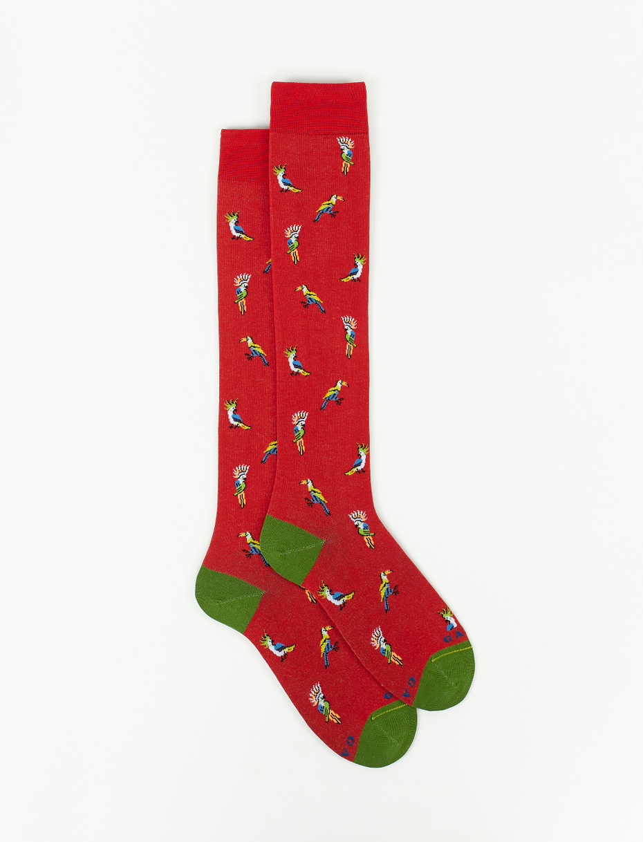 Women's long brick red ultra-light cotton socks with cockatoo/toucan motif - Gallo 1927 - Official Online Shop